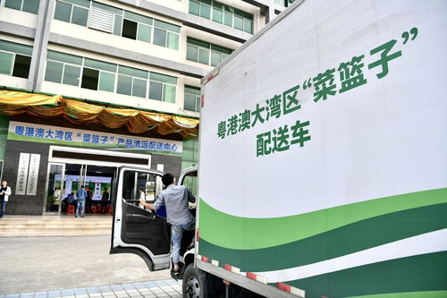 8月第一周，清遠城市配送關(guān)鍵詞聚焦“菜籃子”保障力